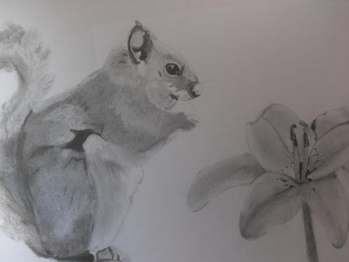 Ecureuil fleur de lys